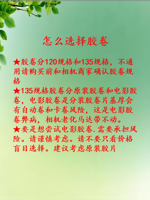 暑假季富士相机胶卷FUJIFILM拍立得胶卷日本海外进口花卉胶卷400 15